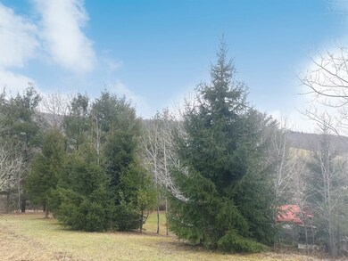 2233 Covert Hollow Rd, Hamden, NY 13782 - photo 7