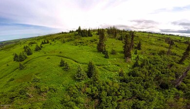 32800 Coyote Run Rd, Nikolaevsk, AK 99556 - photo 2