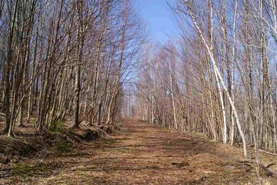 0 Kemp Hill Rd, Canaan, VT 05903 - photo 3