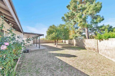 4646 E Fountain Cir-large-024-025-Backya