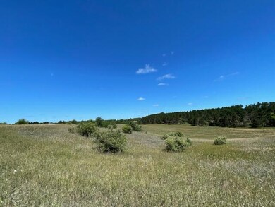 37 +/- Acres 2 Mile Rd Rd, Reed City, MI 49677 - photo 4