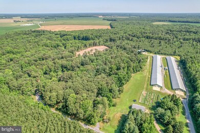 19447 Parsons Rd, Georgetown, DE 19947 - photo 7