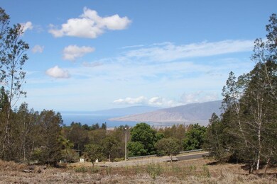 0 Lower Kimo Dr unit 392916, Kula, HI 96790 - photo 2