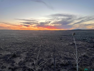 Buena Vida 4 Blk 6 Lot 1, Roswell, NM 88201 - photo 2