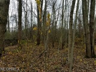 0 Parsons Rd, Oberlin, OH 44074 - photo 3