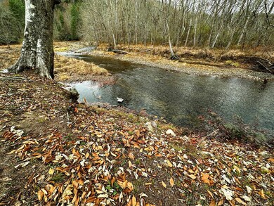 Current view of the river edge of the property. Ri