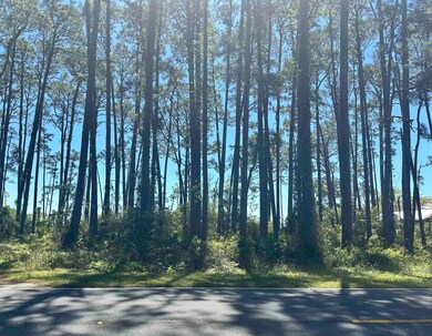 2790 Highway 98 E, Carrabelle, FL 32322 - photo 5