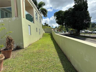 902 Km 0 1 Bo Cayaguas, San Lorenzo, PR 00754 - photo 4