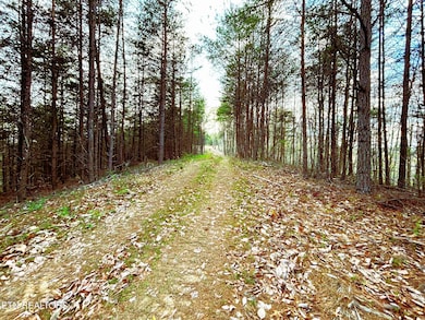 owl tract 2 10