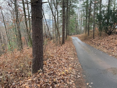 0 Rosenkranz Ln unit 154234, Hiawassee, NC 28904 - photo 2