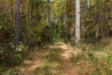 TBD Arkansas 23, Booneville, AR 72927 - photo 5