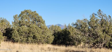 88-A Rose Ln, Ash Fork, AZ 86320 - photo 4