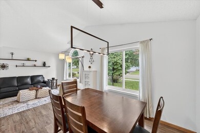 New Anderson windows (main level).