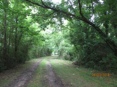 2073 Dog Branch Rd, Prospect, TN 38477 - photo 3