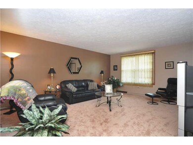 Living Room. New windows, fresh paint & new carpet