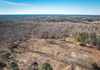 000 Deason Drive-Tract 2, Licking, MO 65542 - photo 4