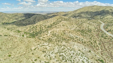 0 Mt Emma Rd unit 25002688, Acton, CA 91350 - photo 4