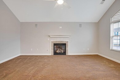 06_DSC07662_mls
