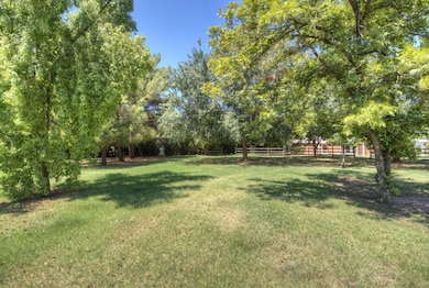 Backyard with mature trees.
