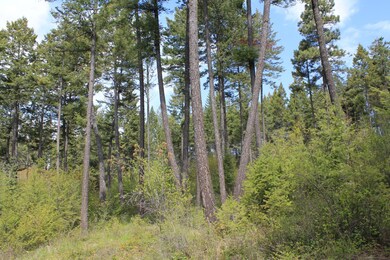 15 Romain Dr, Bigfork, MT 59911 - photo 4