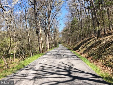 42 Needmore Rd, Baker, WV 26801 - photo 7