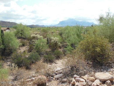 Desert Views