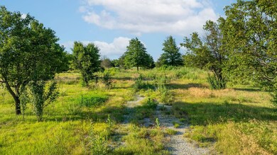 View of local wilderness