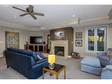 Fireplace Gas