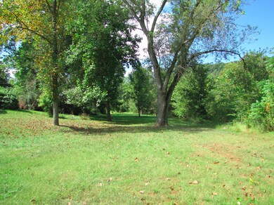 499 S River Rd, Buena Vista, VA 24416 - photo 7