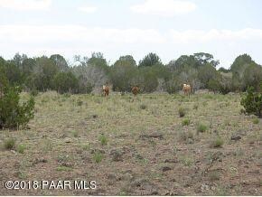 107 Juniperwood Ranch, Ash Fork, AZ 86320 - photo 3