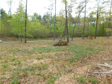 Lot 3 Old Chapman Bridge Rd, Salem, SC 29676 - photo 3