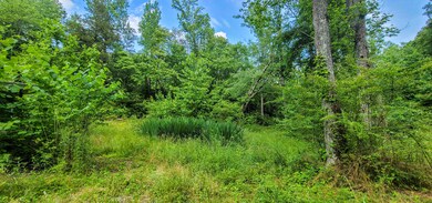 Landscaping-171858