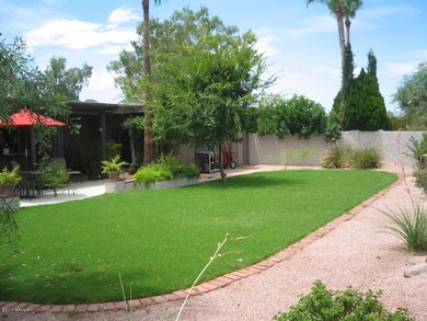 Backyard 1