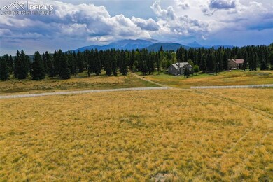 195 Joshua Rd, Divide, CO 80814 - photo 3