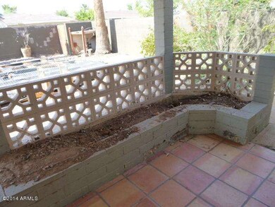 PATIO (1)