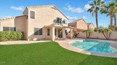 GRASSY BACKYARD