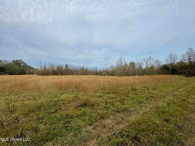 0000 Brown Rd, Canton, MS 39046 - photo 7