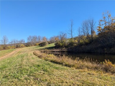 lower-tier pond