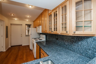 5317 N Kenmore Ave unit 2A, Chicago, IL 60640 - photo 7