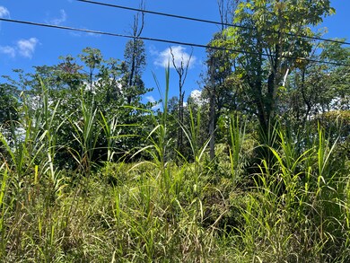 0 13th Ave unit 723514, Hawaiian Paradise Park, HI 96749 - photo 2