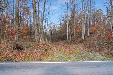 0 Highway 147 unit RTC2310222, Stewart, TN 37175 - photo 4