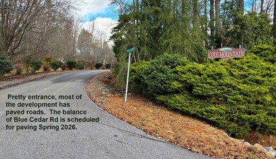 Lot 17 Blue Cedar Rd, Sylva, NC 28779 - photo 2