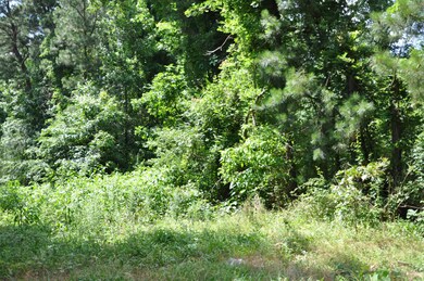 TBD Archie Johnson Rd, Siler City, NC 27344 - photo 2