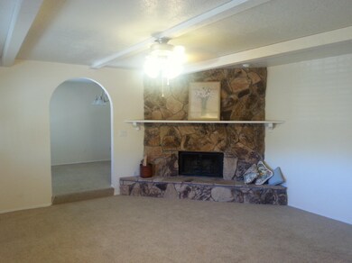 FDM Fireplace in Living Room