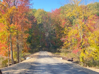 Whitetail Lane Photo 6