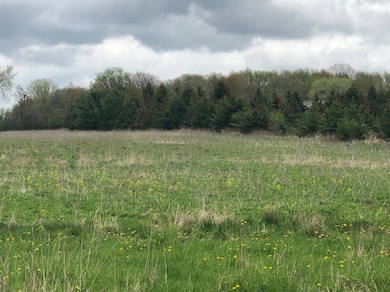 0 N Maple Rd unit 23063944, Ann Arbor, MI 48105 - photo 6