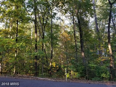 112 Tall Pines Ave, Locust Grove, VA 22508 - photo 2