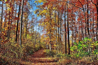 266AC Meadow Lark, Dunlap, TN 37327 - photo 6