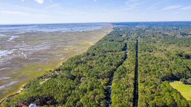 15 Longmarsh Rd, Mount Pleasant, SC 29429 - photo 3