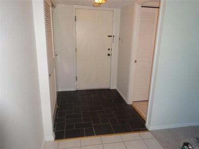 Entry way, slate floor, coat closet